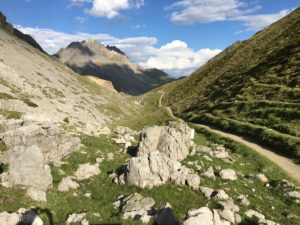 Trail von der Alpe Trela